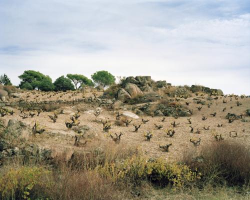 Thumbnail photo for the news item: Cebreros, Castilla y Leon, Spain