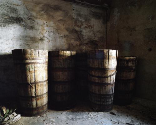 Thumbnail photo for the news item: Labastida, Rioja Alavesa, Spain