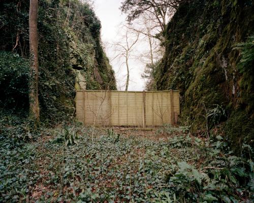 Thumbnail photo for the news item: Fence,Yealmpton, Devon
