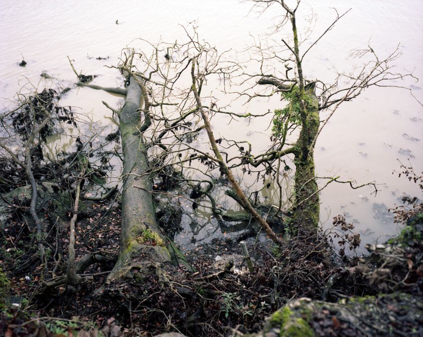 <p>A new series of photographs on the river Plym;&&hellip;