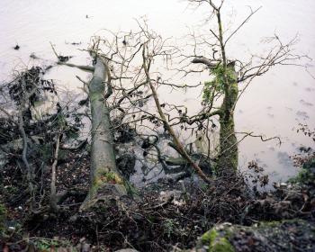 Thumbnail photo for the project: River Plym