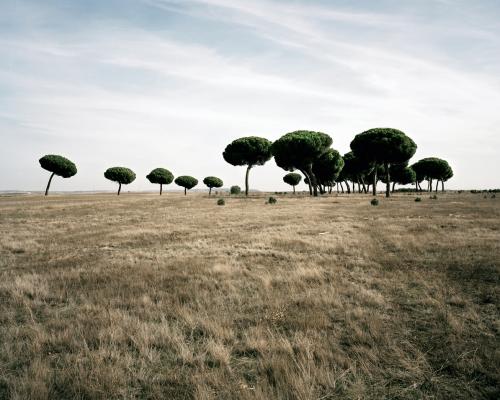 Thumbnail photo for the news item: Rueda, Castilla y Leon, Spain